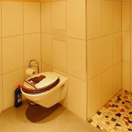 Renoviertes In Апартаменти *