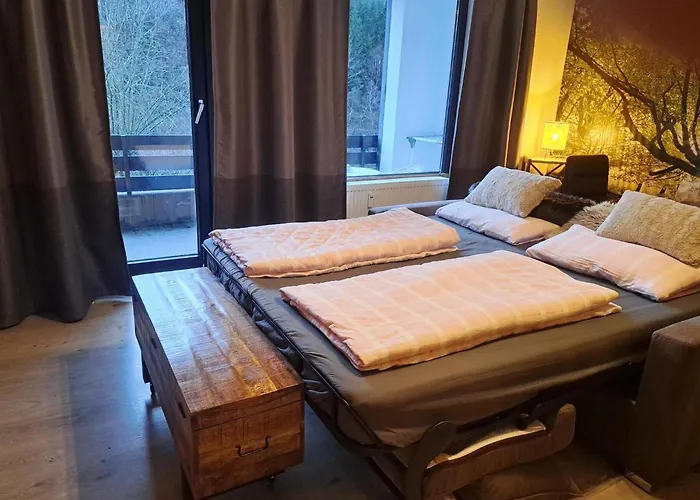 Renoviertes In Appartement Winterberg