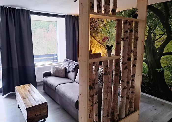 Renoviertes In Lejlighed Winterberg