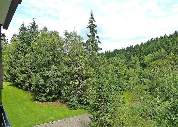 Renoviertes In Winterberg